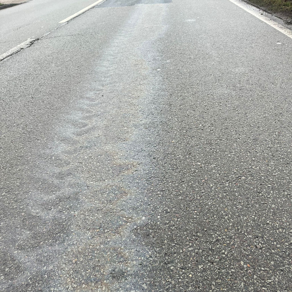 Einsatz: H1 – Fahrbahnverunreinigung